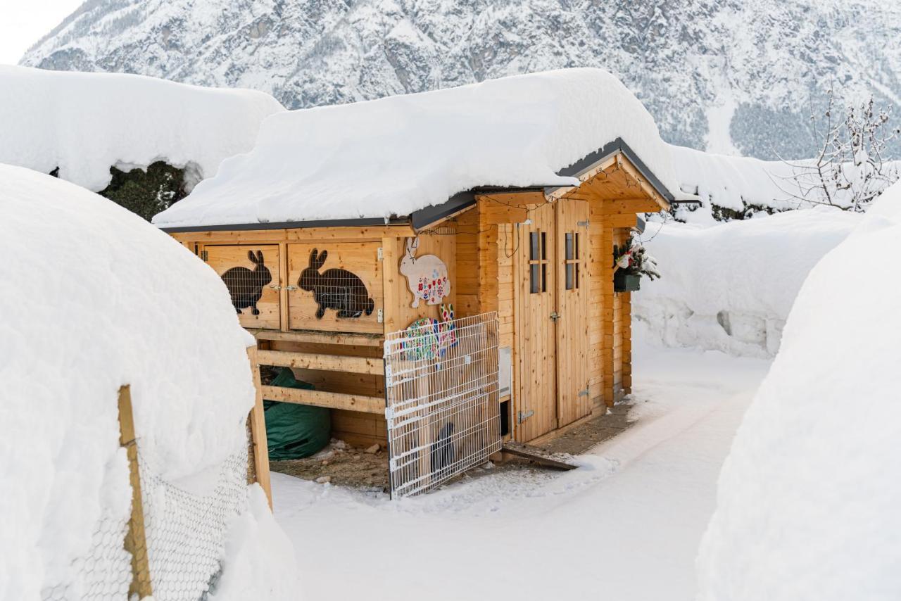 Haus Sonnengarten-Lienz Esterno foto